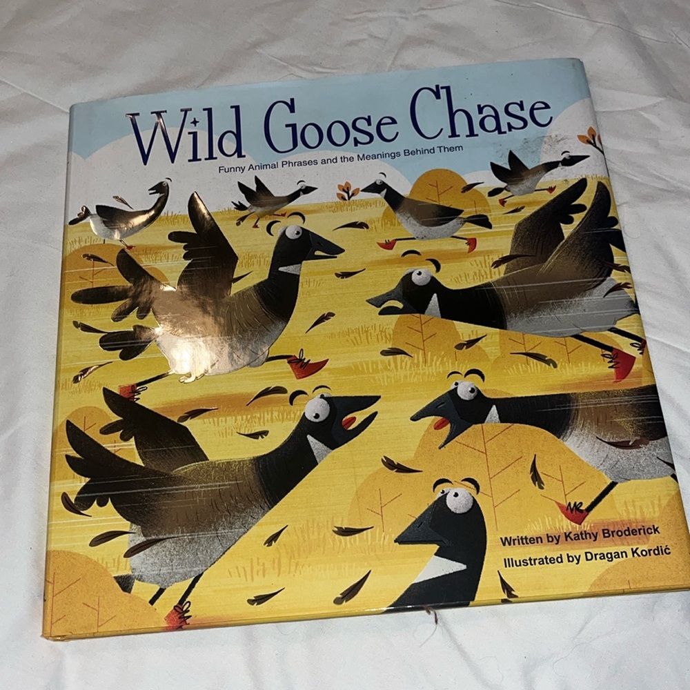 Wild goose chase book